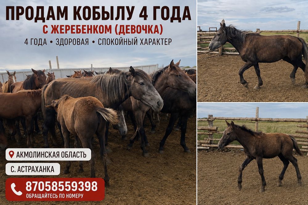 Кобыла 4 года  с жеребенком (девочка )