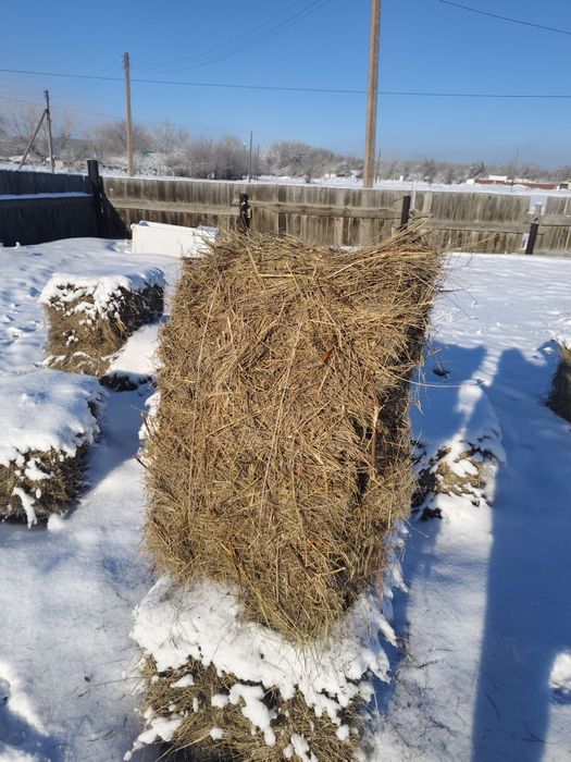 Продам сено, самовывоз