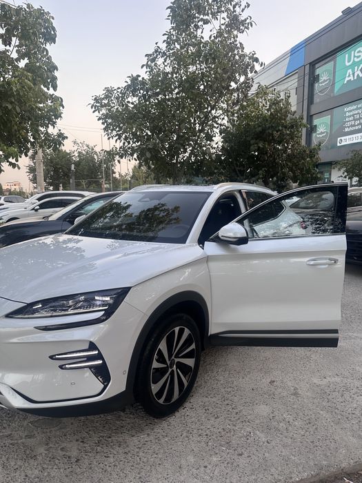 BYD Song Puls CHAMPION 605 Full 2024 года