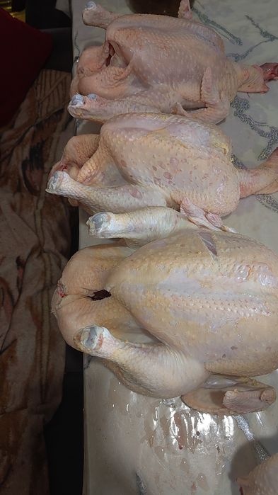 Вкус настоящий домашней курицы