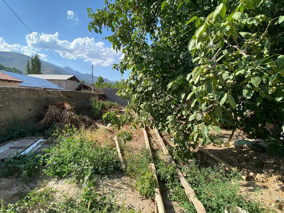 Xumsonda yer 4 sotih sotiladi