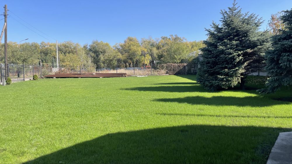 Автополив + газон