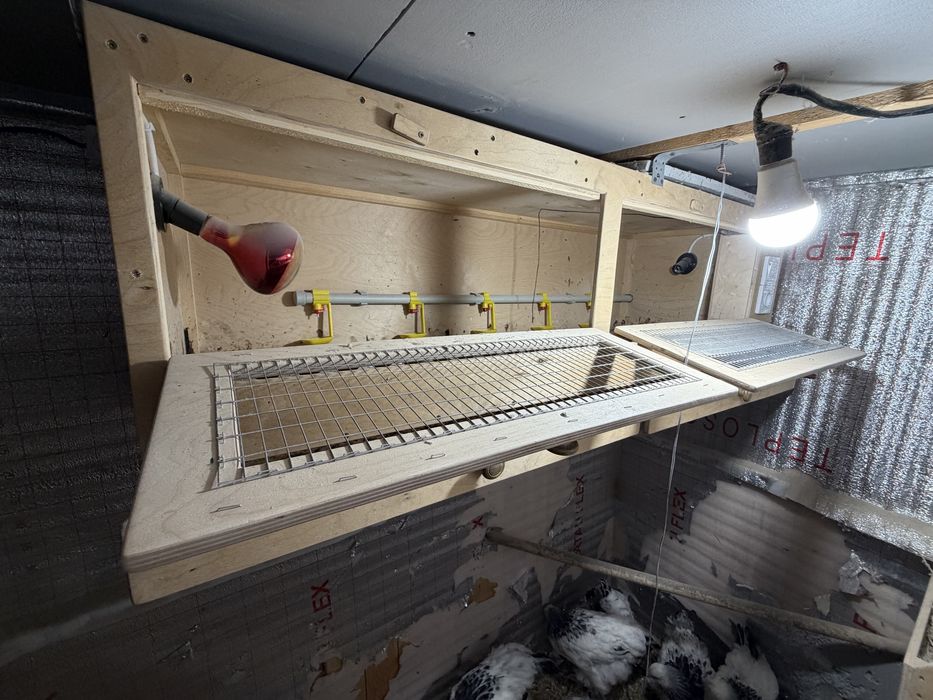 Толық автоматтандырылған брудер сатылады