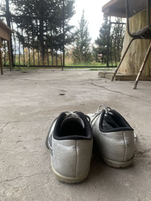 Сороконожки адидас