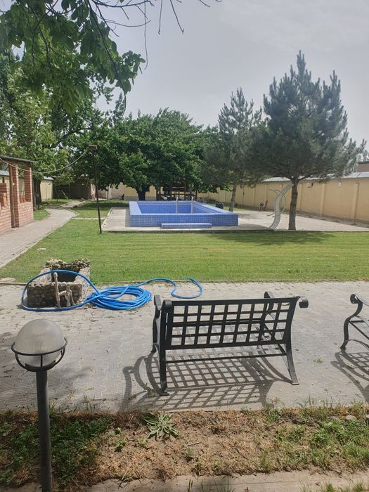 МАЙСКИЙ(Истик,бол, Шалола)! Срочная продажа! Дешёвая цена!