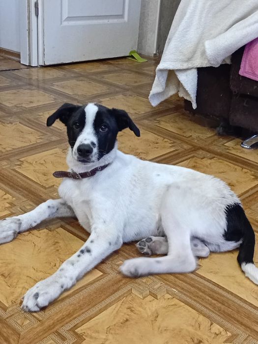 Вот такой мальчишка ищет дом.