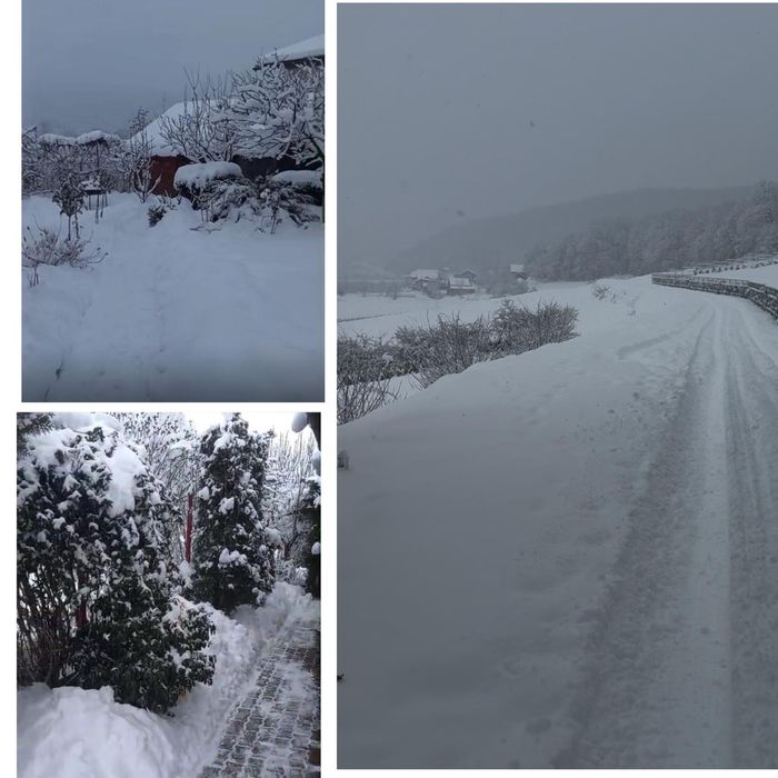 Loc perfect de sãniuș, plimbări prin pădure la  câteva minute de oraș