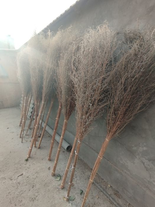 Веник сорго уличные.