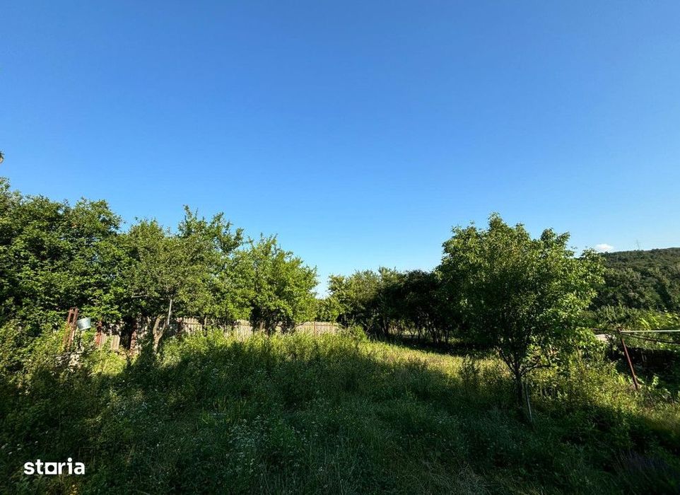 Teren intravilan Valea Adanca , 2540 metri Cod:155291