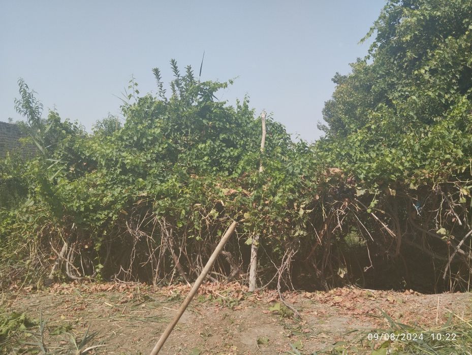 Tayyor uy kelishilgan holda sotiladi