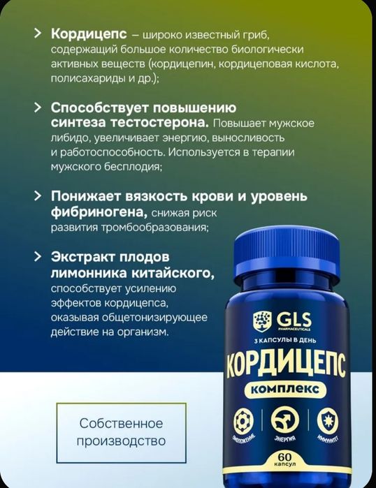 Кордицепс Мицелий с Лимонником Китайским / бад для энергии, иммунитета