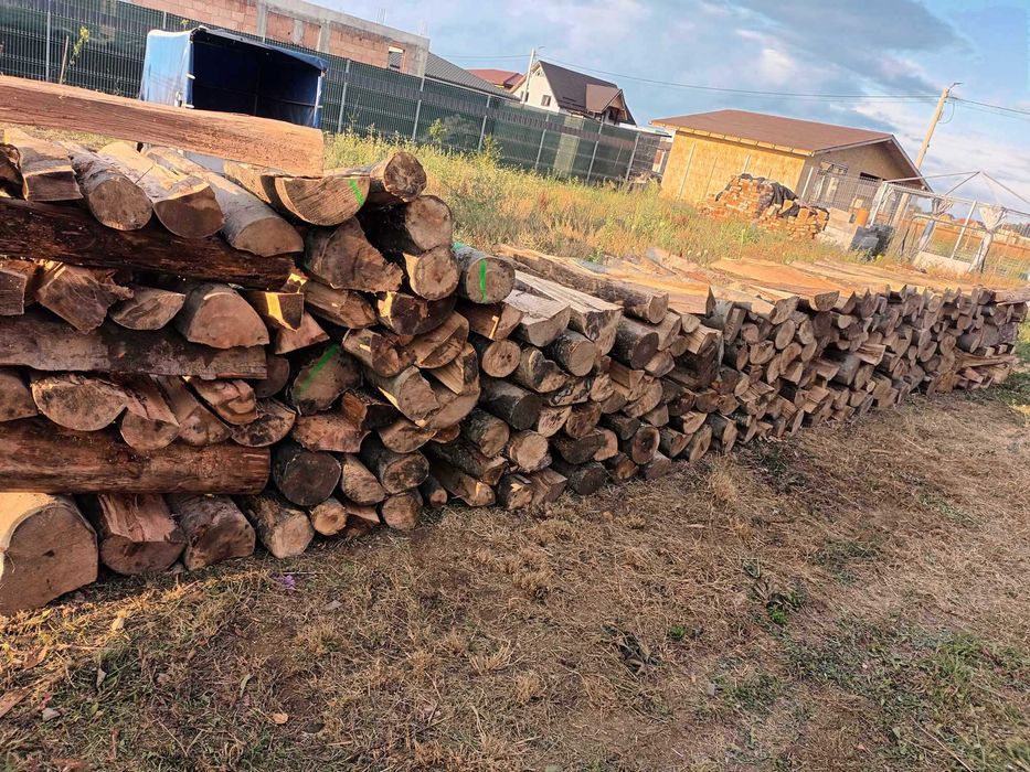 Vand lemn de Foc Fag esenta tare