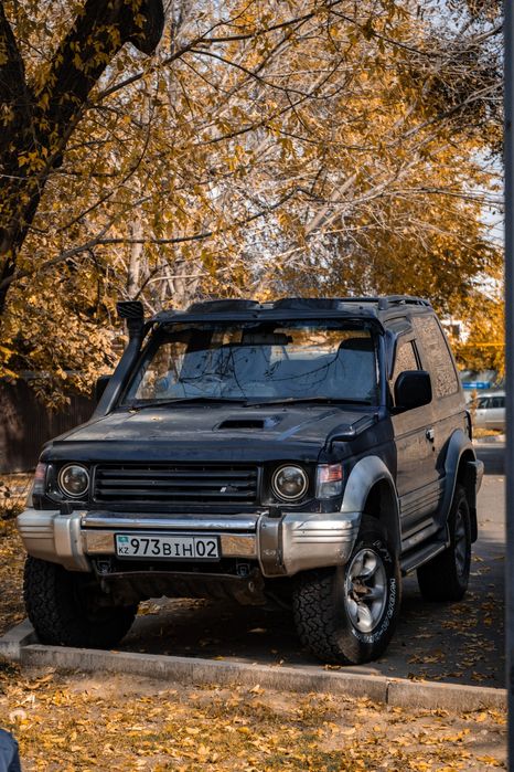 Mitsubishi Pajero 2