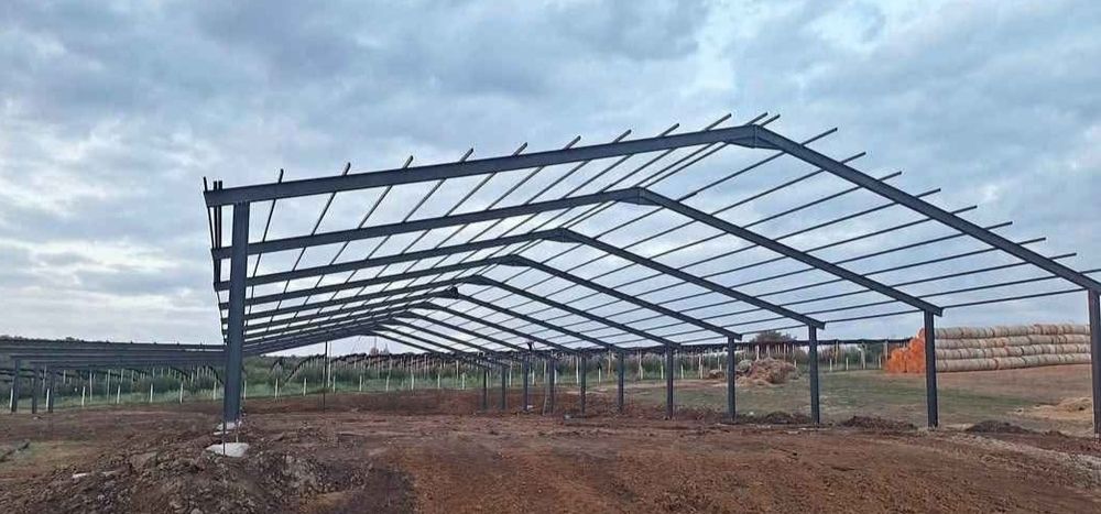 Vand structura metalica 10x29x4h la pret de pomana