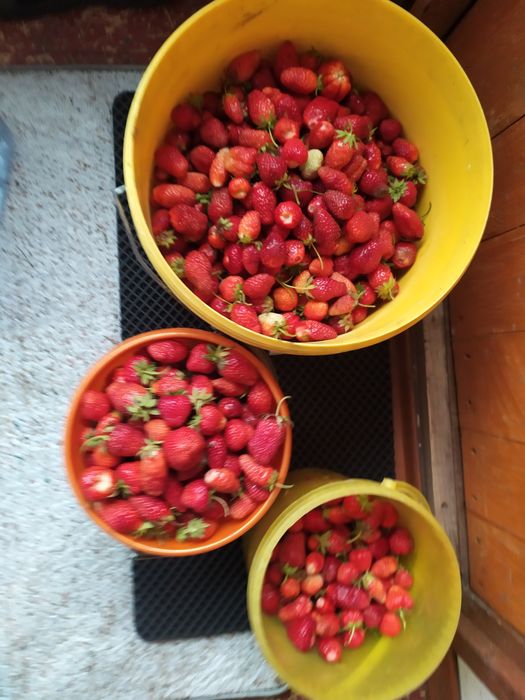 Продам варенье , ягоды выращенные дачное общество Ракета