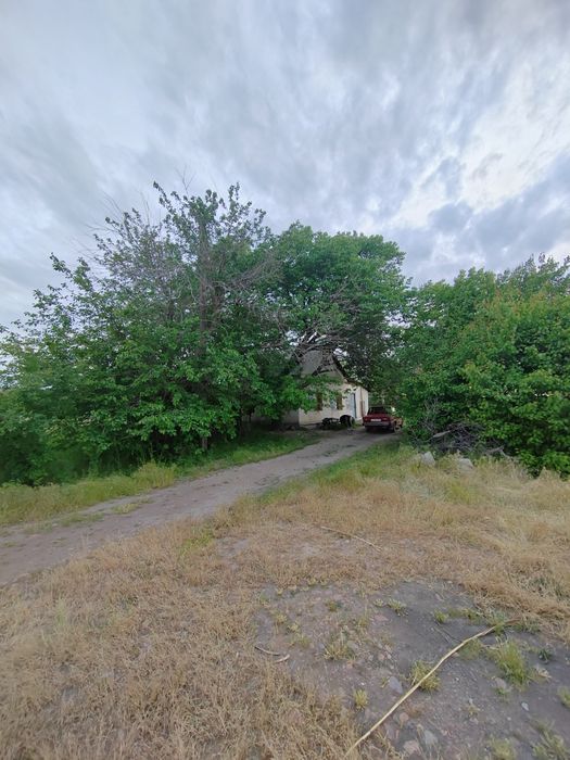 Дачный участок с рыбным хозяйством