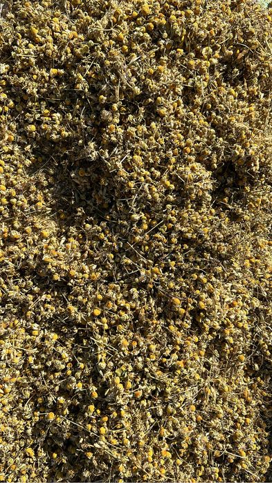 Ceai de musetel vrac