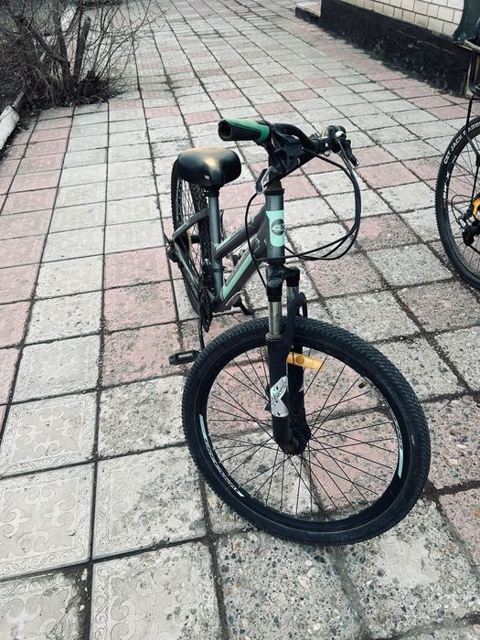 Веласапет сатылады багасын келисемиз