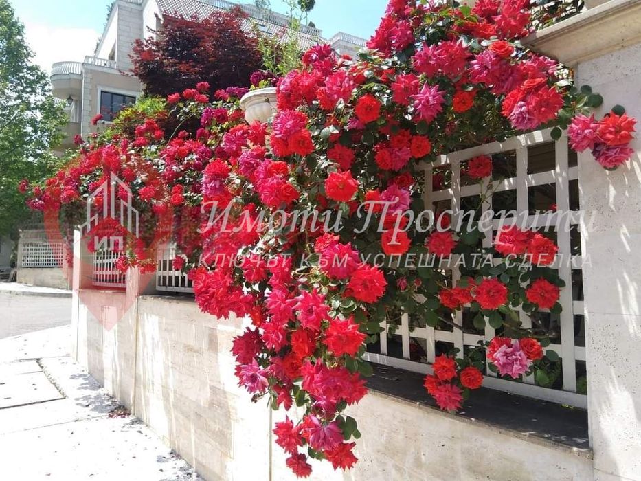 Продава се Четиристаен апартамент в София, Витоша - 171 кв.м за 2223 €/кв.м - Снимка #5