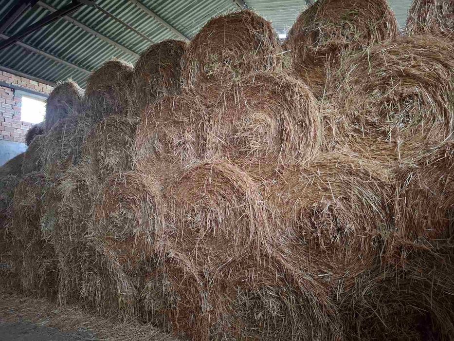 Рулонни бали люцерна