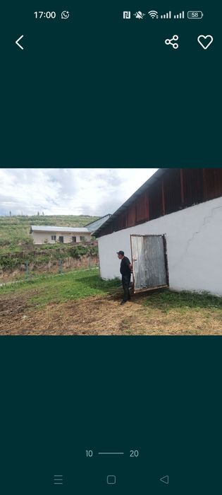 Сдам в аренду ферму с домом...