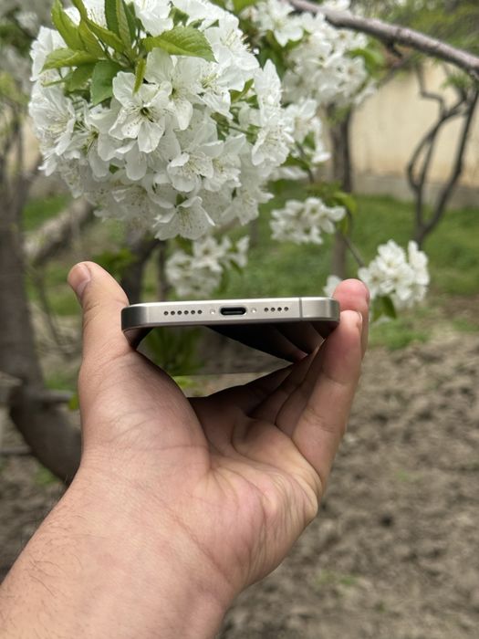 Iphone 15 Pro Max 256 Gb Natural 88%