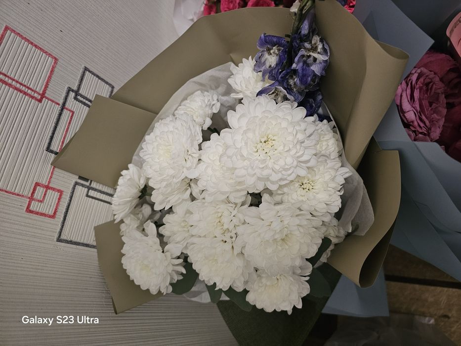 Продам цветы не дорого!