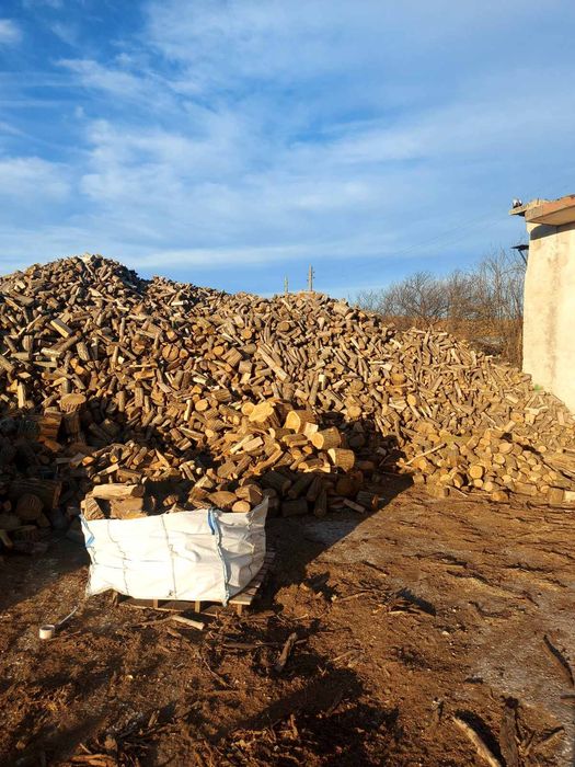 Дърва за огрев - Акация