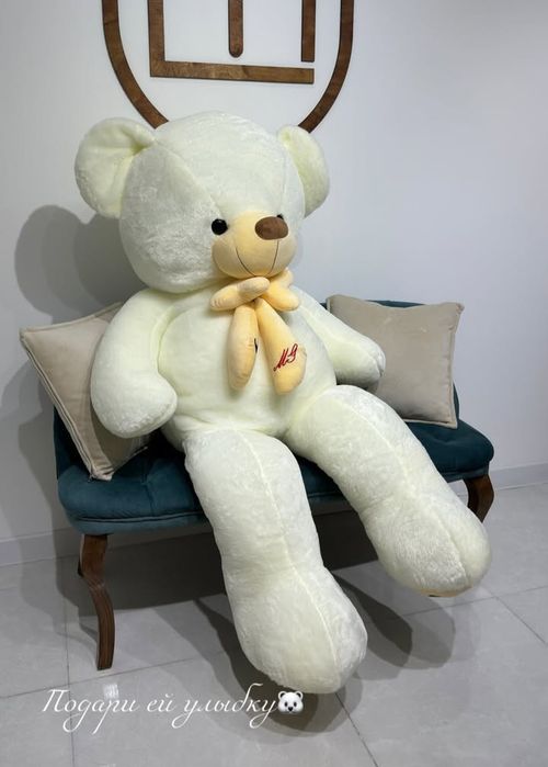 Жаңа, бойы 1,5 метр