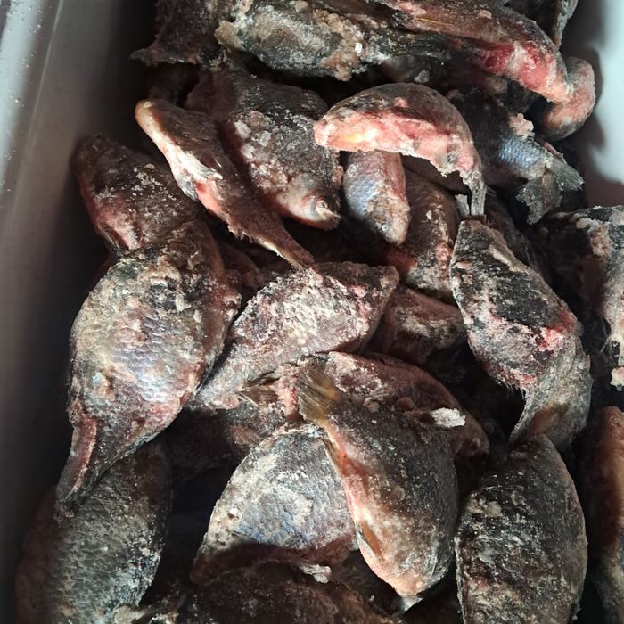 Карась свежий