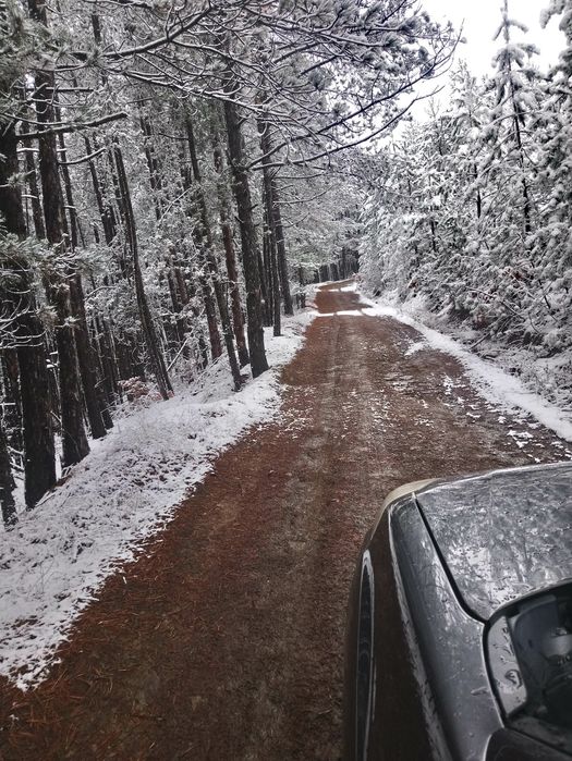 Вила -Замяна! 3 км от гр.Банкя!