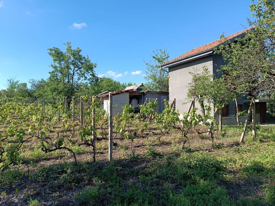 Продава се Къща в Русе, Долапите - 1100 кв.м за 26 €/кв.м - Снимка #4