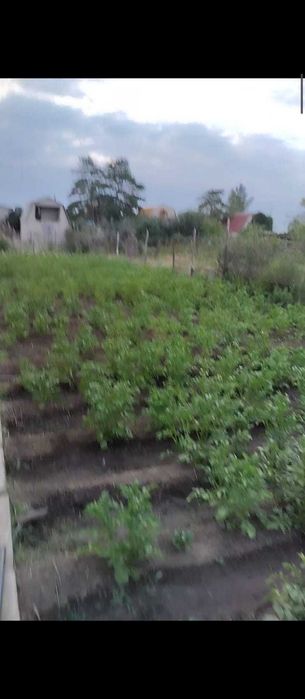 Продам Дачу в с/к Васюки