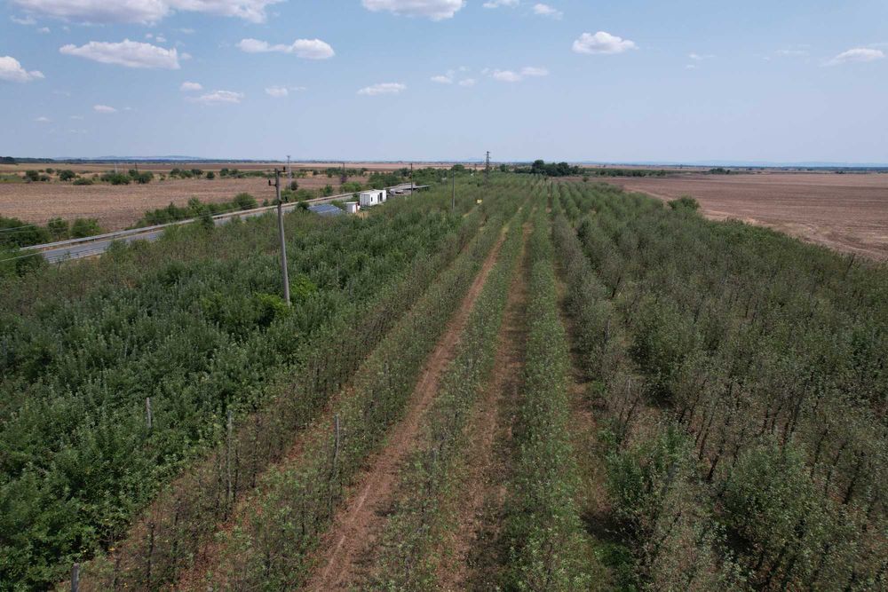 Продава се Земеделски имот в с. Могила, Област Стара Загора -  кв.м за 6 €/дка - Снимка #3