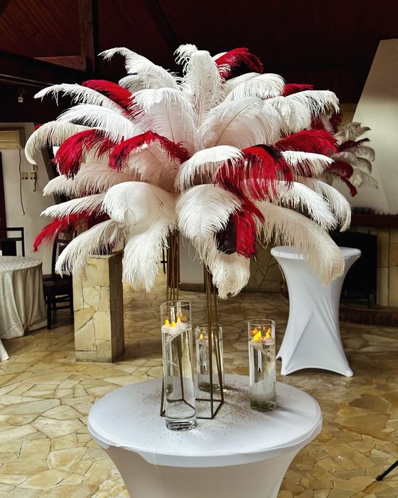 Aranjamente cu pene de strut de inchiriat