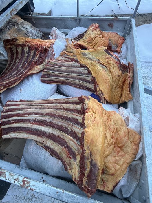 Согым  бие 1 аяктап 3000 тг