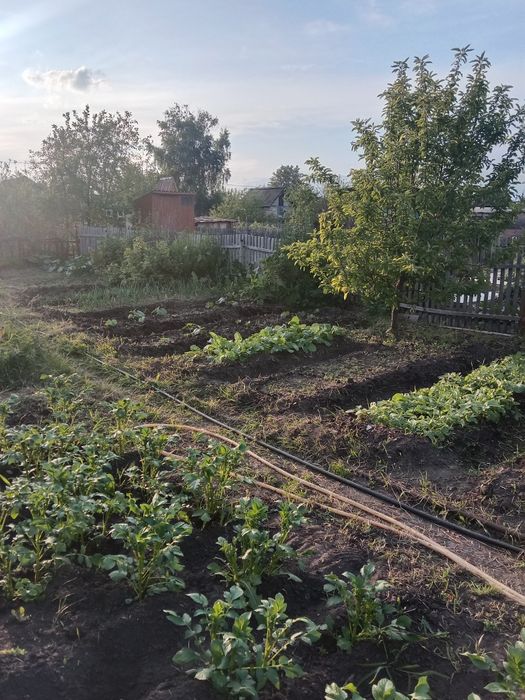 Продам дачу общество Лада