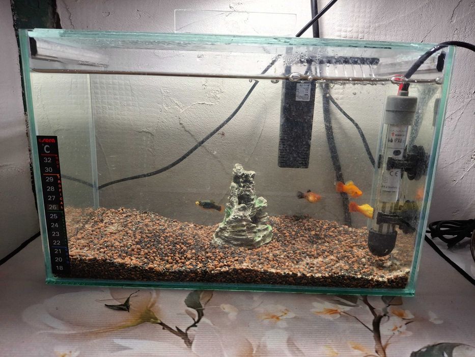 Три аквариума комплект с рибки