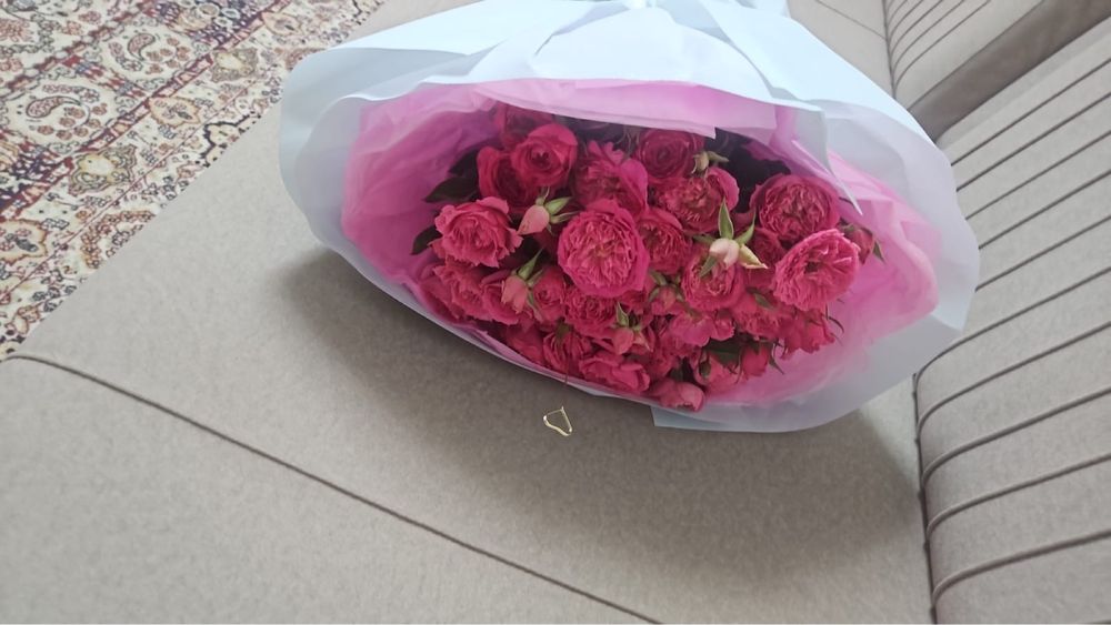 Продам продам светы