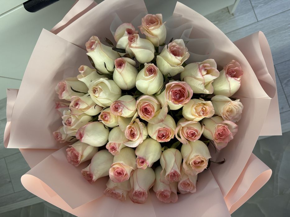 Бугін келді екеуіде свежый