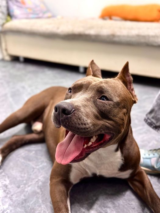 Ищем девочку стаффа для вязки