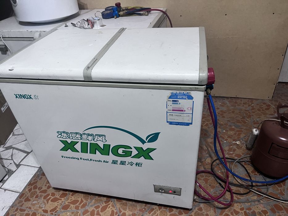 Аренда моразильник