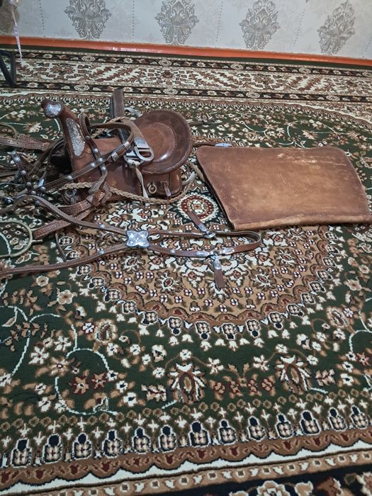 Ер тоқым егар күмістен ыстелвнген