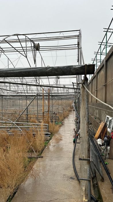Parnik Srochno Sotiladi | Продается теплица