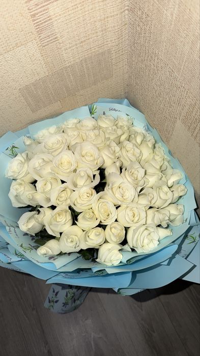51 белая роза свежая