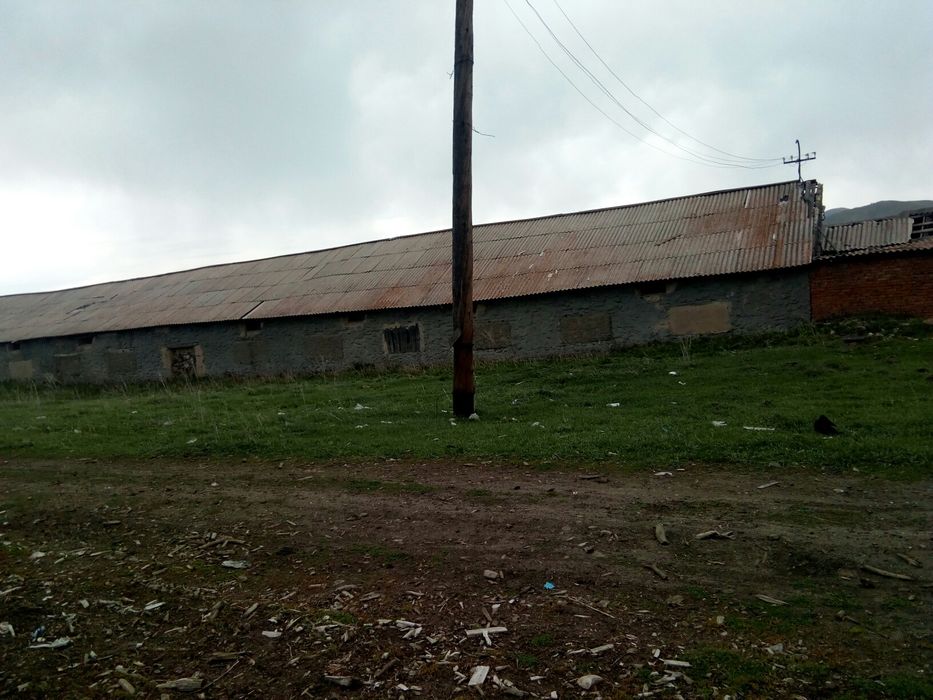 Продам дворы сСекисовка