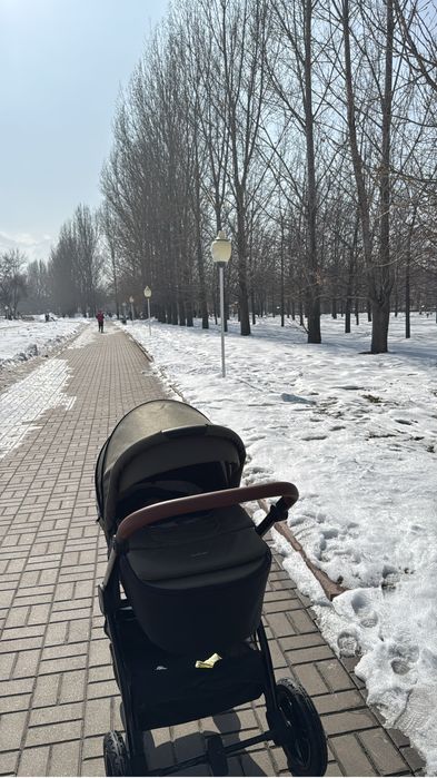 Детская коляска 3в1