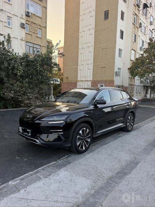 Byd champion restayling 605 km
