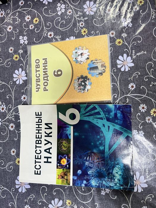 Книги за 6 класс