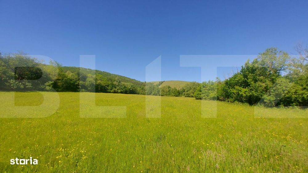 Investitie – 3,6 ha Glamping, Pensiune sau Centru Ecvestru in inima